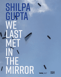 Shilpa Gupta: We Last Met in the Mirror