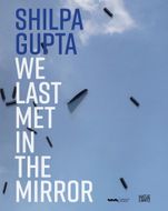 Shilpa Gupta: We Last Met in the Mirror
