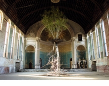 Shinji Turner-Yamamoto: Global Tree Project