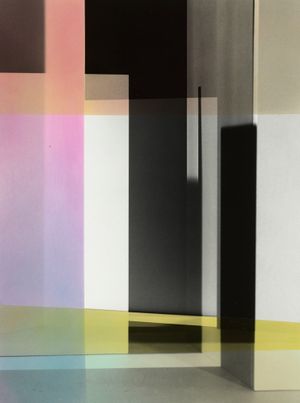 Shirana Shahbazi: An Exciting Opportunity Lies Ahead of You