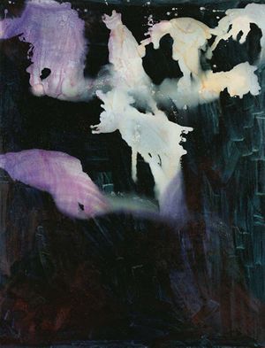 Sigmar Polke: Paintings, Photographs and Films