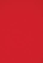 Silvia Rosi: Protektorat