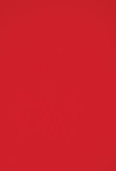 Silvia Rosi: Protektorat