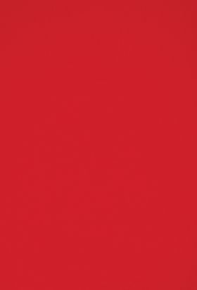 Silvia Rosi: Protektorat