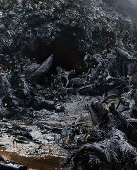 Simen Johan: Until the Kingdom Comes