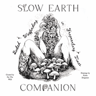 Slow Earth Companion