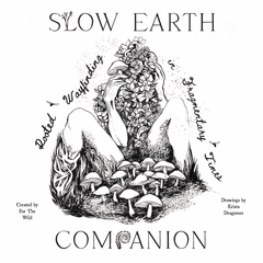 Slow Earth Companion