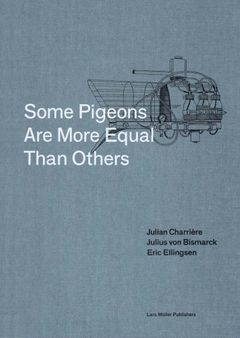 Some Pigeons Are More Equal Than Others