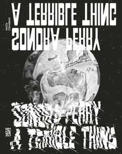 Sondra Perry: A Terrible Thing