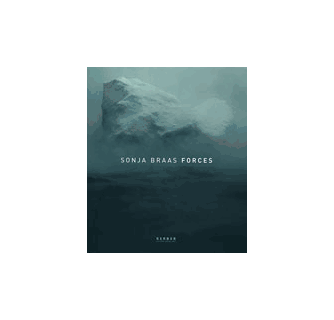 Sonja Braas Forces ARTBOOK | D.A.P. 2004 Catalog Books Exhibition
