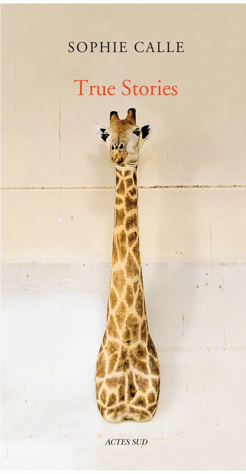 Sophie Calle in the News!
