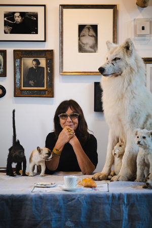 Sophie Calle: Something Missing?