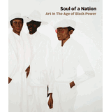 Soul of a Nation