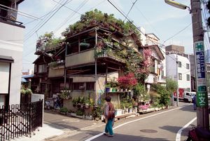 Spirit: Garden Inspiration
