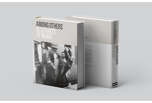 STANDBY ONLY: 'Among Others: Blackness at MoMA' panel at MoMA PS1