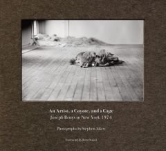 Stephen Aiken: An Artist, a Coyote, and a Cage
