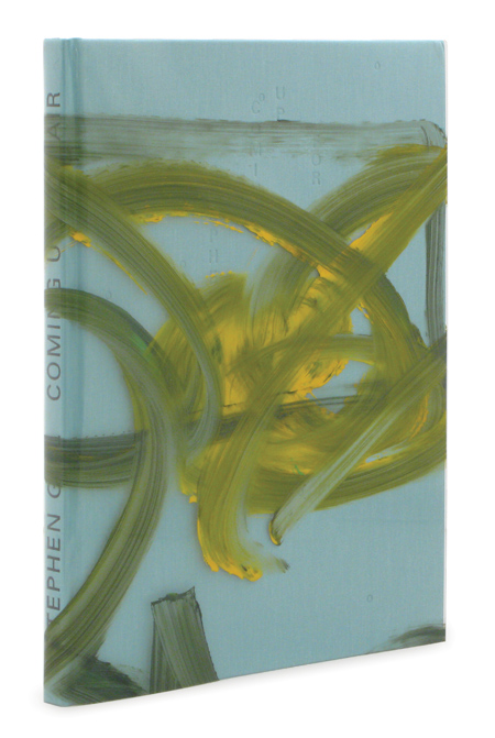 Stephen Gill Coming up for Air ARTBOOK | D.A.P. 2010 Catalog