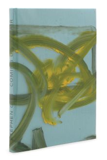 Stephen Gill: Coming up for Air