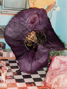 Stephen Gill: Hackney Flowers