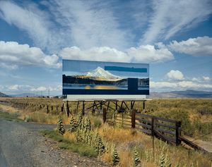Stephen Shore: Survey