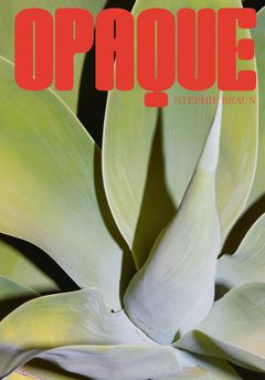 Stephie Braun: Opaque