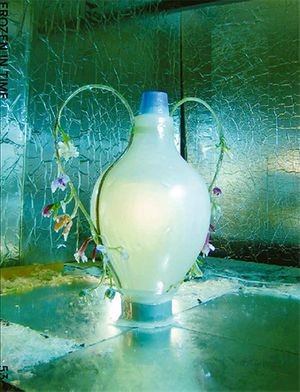 Studio Wieki Somers: Out of the Ordinary