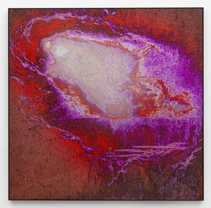 Study Trip: Psychedelics for Research and Art
