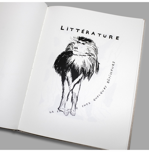 Subversive, even scandalous: Francis Picabia: Littrature