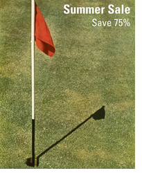 SUMMER SALE! Save 75%