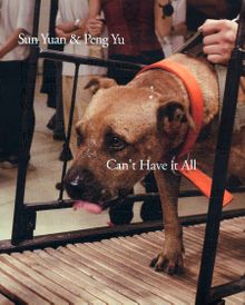 Sun Yuan & Peng Yu: Can't Have it All