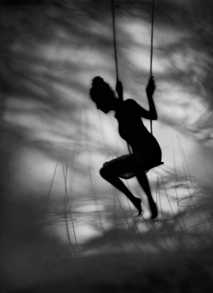 Susan kae Grant: Night Journey