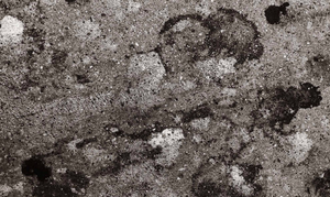 Susan Silton: Diving into the Wreck