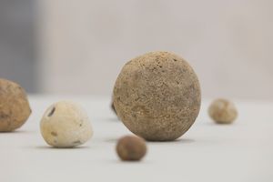 Tacita Dean: Landscape, Portrait, Still Life