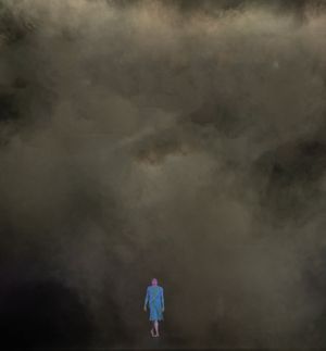Tacita Dean: The Dante Project
