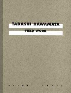 Tadashi Kawamata: Field Work