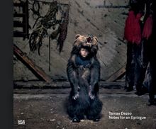 Tamas Dezso: Notes for an Epilogue
