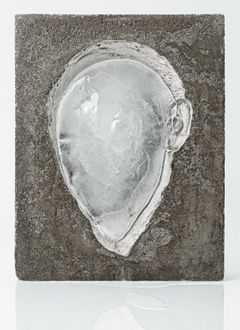 Tania Prez Crdova: Generalization