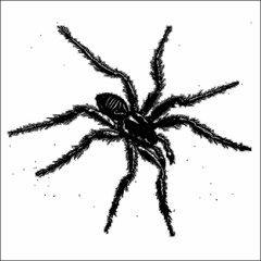 Tarantismo: Odyssey of an Italian Ritual (Vinyl)