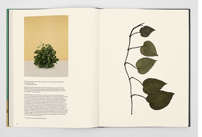 Taryn Simon's 'Paperwork and the Will of Capital' evokes secrets that can be parsed only with the help of their captions 