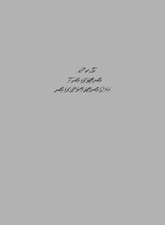 Tauba Auerbach  S v Z