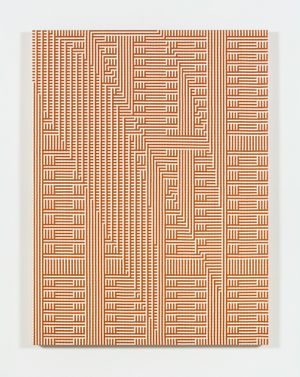 Tauba Auerbach  S v Z