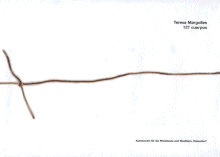 Teresa Margolles: 127 Cuerpos