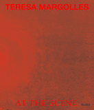Teresa Margolles: At the Scene / En el lugar de los hechos