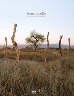 Teresa Moller and Associates: Unveiling the Landscape