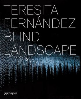 Teresita Fernndez: Blind Landscape