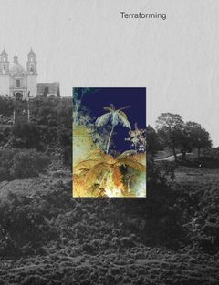 Terraforming: Olanas Historic Photography Collection Unearthed