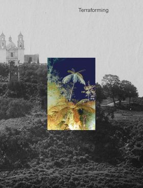 Terraforming: Olanas Historic Photography Collection Unearthed