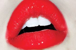 Terry Richardson: Terrywood