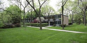 Thanks for the View, Mr. Mies
