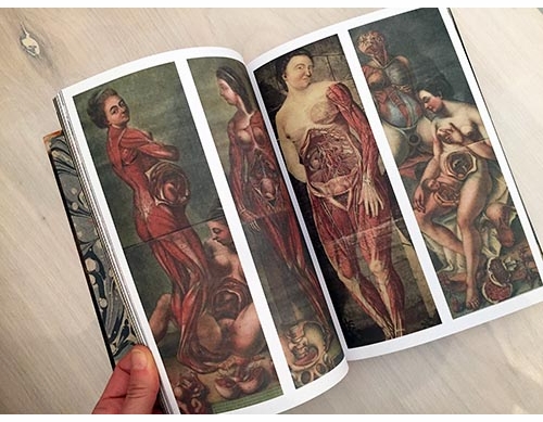 The Anatomical Venus, a PW Top Pick!